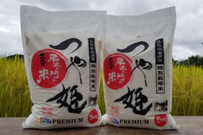 【令和8年産新米】特別栽培米つや姫　精白米5㎏×2袋
