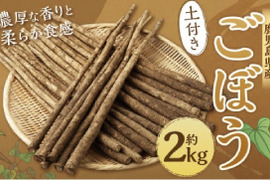 色白綺麗⭐︎香り絶品！2キロ　鹿児島県産　土付きごぼう