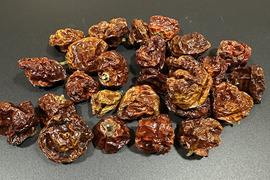 【乾燥唐辛子】我慢できそうな辛さ！国産スコッチボネット（約20g）農薬・化学肥料不使