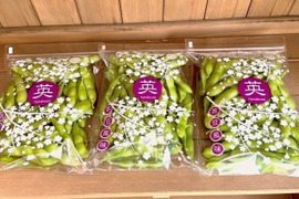 冷凍便！生のまま冷凍しました！茶豆風味の枝豆【英】4袋入り