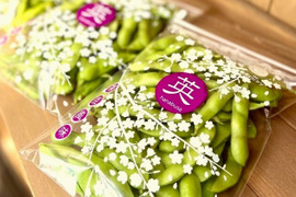 冷凍便！生のまま冷凍しました！茶豆風味の枝豆【英】4袋入り