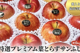 青森県産 「大人気」「１５名様限定販売」プレミアム葉とらずさんふじ自然味5kg糖度13%以上保証