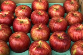 葉とらずサンつがる「ジュワッと果汁」家庭用約4.5Kg　青森県産　数量限定　つがる　りんご　葉
