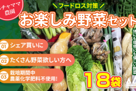 お楽しみ★農園自慢の情熱野菜セット　18袋　発送タイミングおまかせ　フードロス対策　パチャママ農園
