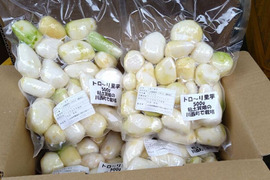 山形いも煮会　洗いさといも（皮むき）
５００ｇ✕４パック、トロ〜リ柔らか、
すぐに調理可能です！