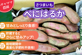 さつまいも　紅はるか　4.5ｋｇ　パチャママ農園