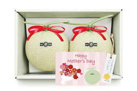 【母の日ギフト】2玉箱入りマスクメロン