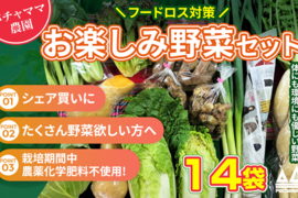 お楽しみ★農園自慢の情熱野菜セット　14袋　発送タイミングおまかせ　フードロス対策　パチャママ農園