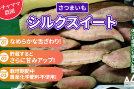 さつまいも　シルクスイート　4.5ｋｇ