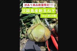 【訳あり数量限定】淡路島産ブランド新玉ねぎ 『にじたま』極早生 5kgダンボール入り（ご家庭用・17～20個前後） 使いやすいM・L・2L混在！◎農家直送