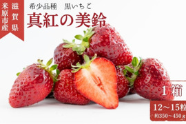 黒いちご『真紅の美鈴』12から15粒　350から400g✖️1ケース　糖度センサー選別なし