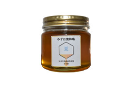 【非加熱・純粋はちみつ】2025年度知多半島産　夏の百花蜜(150g)