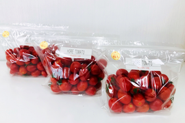 「ひんやり屋」高糖度「ほれトマト」500g*3袋セット 太陽の恵みをたっぷりもらった糖度10度以上の極上ミニトマト