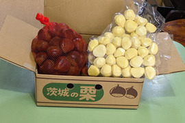 その他栗の通販｜栗｜食べチョク｜産地直送(産直)お取り寄せ通販