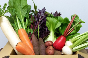 【未来をつくる笑み野菜】☆季節の【福袋】たっぷり満足セット(10品程度)☆