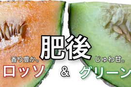 【食べ比べ】熊本ブランド贈答用にも！赤肉青肉メロン2玉食べ比べセット