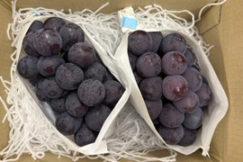 牧丘ブランドの巨峰！　1kg（2～3房）旬の果物