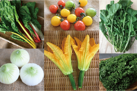 【月・金曜発送便】ココロ踊る🌈おまかせ野菜セット【さいたま市産】