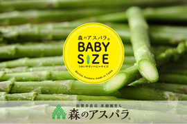 【森のアスパラ】便利で大好評！そのまま使えるベビーサイズ（S~M）・800g