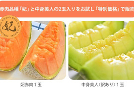 アールスメロンの通販｜メロン｜食べチョク｜産地直送(産直)お