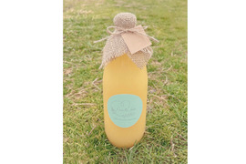 信州りんごジュース 2本セット 1000㎖×2本