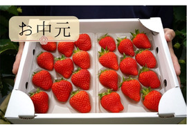 【お中元】　香りが広がるジューシーいちご ≪あまひめ≫ 朝どれ産地直送！信州産