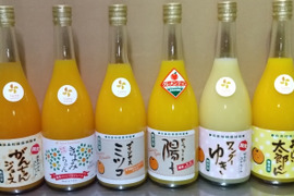 【飲み比べ6本セット】セニョリータ陽子・プリンセスミツコ・ワンダーゆき・おいしい太郎くん・きよみちゃん・がんちゃん　の6本セット