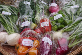 栄養たっぷり！旬の秋採れ野菜丸ごと堪能セット【10品目プラス】