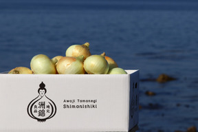 5️⃣KG【味に自信あり：新玉ねぎ】淡路島　洲本農園オリジナルブランド玉葱、洲錦（しまにしき）５ｋｇ