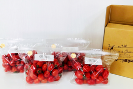「盛りだくさん屋」高糖度「ほれトマト」450ｇ*４袋セット　太陽の恵みをたっぷりもらった糖度１０度以上の極上ミニトマト
