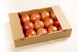 大玉トマト　かれん　約２５０g×１５個