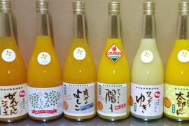 【飲み比べ6本セット】セニョリータ陽子・ワンダーゆき・おいしい太郎くん・きよみちゃん・がんちゃん・爽やかよしこ　の6本セット