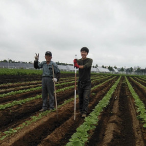 ほそかわfarm