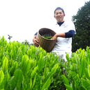 森木農園