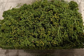 気品ある香り！黄色系が混ざる花山椒100g  （かやぶきの里・
京都・美山産 栽培期間中農薬不使用）