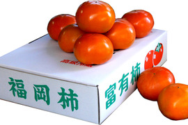 富有柿　個包装　ご家庭用　約3kg (12～16個）