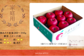 家庭用りんご3品種詰め合わせ5キロ