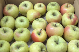 ★残りわずか★【訳あり・バラ詰め・大小込み】ぐんま名月💛約4.5Kg🍏青森県産　数量限定