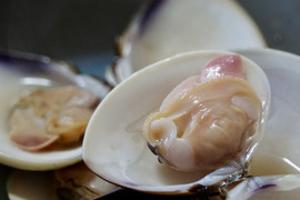 酒蒸し♪お鍋にどーぞ(^^)
《千葉ブランド水産物認定品》
九十九里産はまぐり（1kg/10〜16個位）