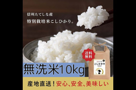 【R７年産】特別価格！信州たてしな産コシヒカリ無洗米5kg×2袋　特別栽培米！