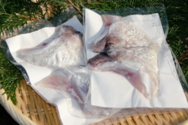 【大人気！】養殖真鯛カマ2パック/急速冷凍　おまけ付