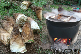 「朝イチ」大釜湯がきたけのこ（1.5Kg）