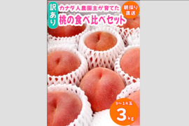 【カナダ人農園主の真心を込めた】【訳あり】”朝採れ新鮮”ももの食べ比べセット約３kg