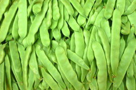 モロッコインゲンの通販｜その他豆類｜食べチョク｜産地直送