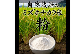 【年末セール】【令和7年新米】自然栽培「ミズホチカラ」米粉　１ｋｇＸ１０袋