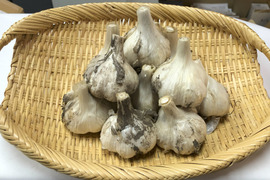 【夜市限定】食べられるのは今だけ！生にんにく　500g【農薬 化学肥料一切使用していません】