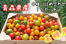太陽の恵みをたっぷり浴びた カラフルミニトマト 1kg 4種 詰め合わせセット
