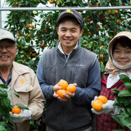 ベリーレアファーム