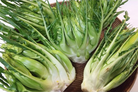 イタリア野菜・サラダで美味しい❗️プンタレッラ (2～3株）