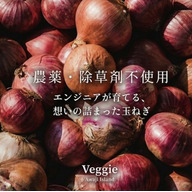 Veggie｜淡路島のエンジニア農家